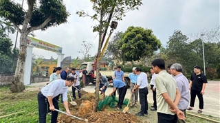 Hoạt động Môi trường tại Giáo họ Vĩnh Hòa